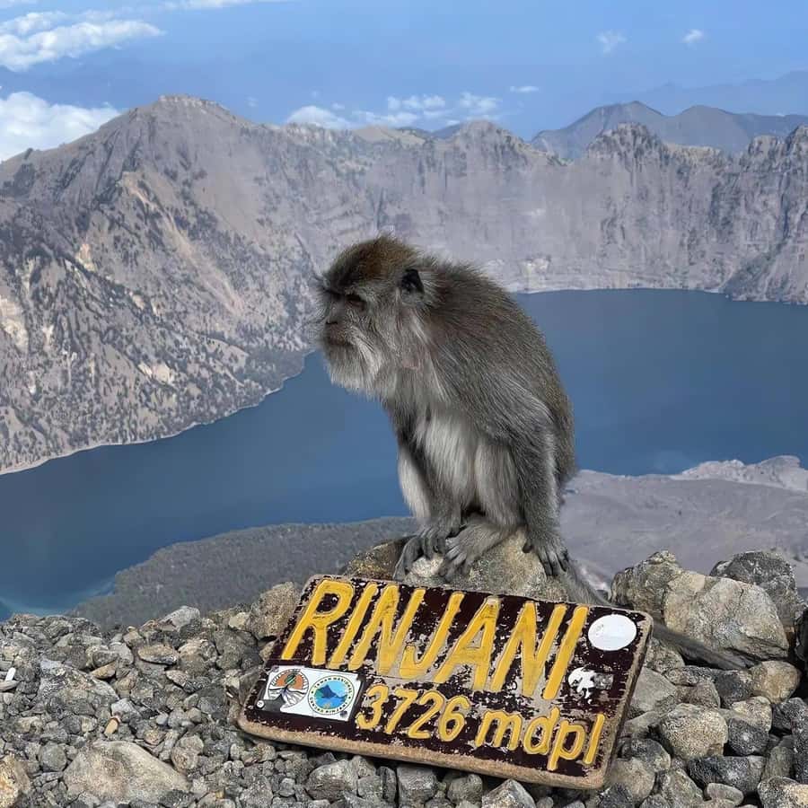 trekking mount rinjani summit join in group tour - Sembalun (1,156m) Start: Savanna Views and a Real Mountaintop Feel