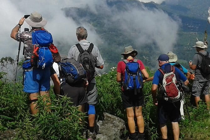 Trekking & Picnic in The Tea Plantation From Ella, Haputale & Bandarawela - Key highlights worth prioritizing