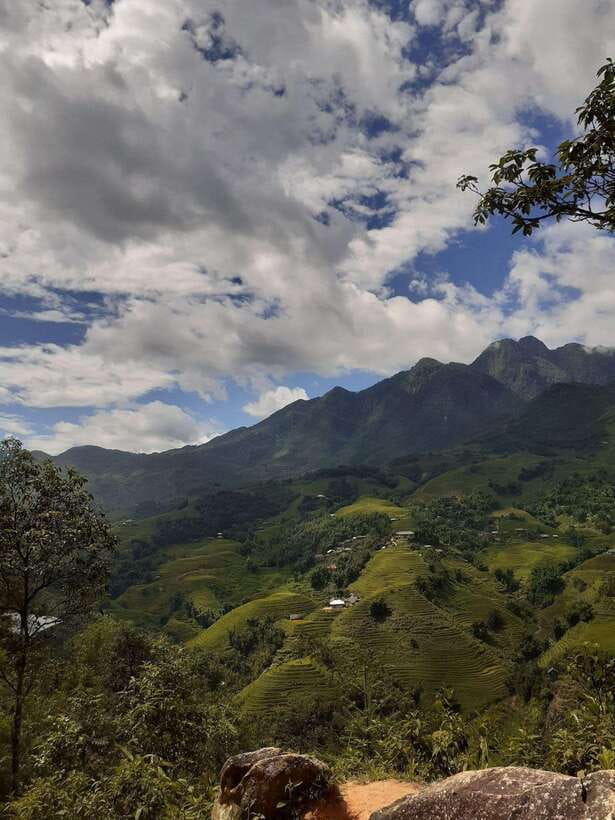Trekking Sapa 1 Day With Local Guide, Terraced Rice Fields - Why Sapa rice terraces feel real on this route