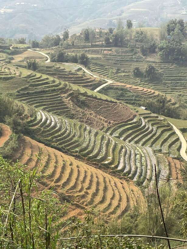 Trekking Sapa 1 Day With Local Guide, Terraced Rice Fields - Ta Van and the Giay community: why the trek ends here