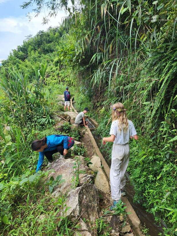Trekking Sapa 1 Day With Local Guide, Terraced Rice Fields - 8:00–8:30 pickup and the start near Cat Cat Road