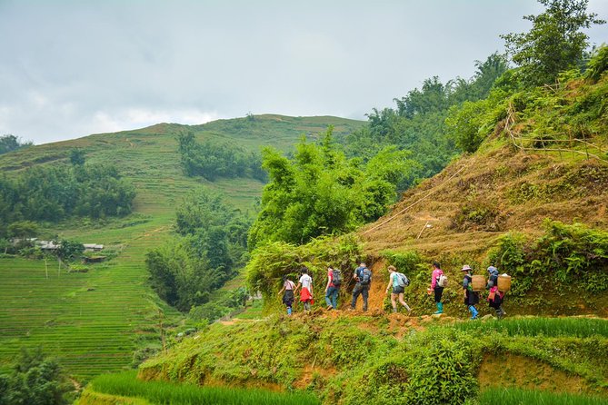 Trekking Through Rice Terraced Fields - 1Day - Stop-by-stop: Y Linh Ho, Lao Chải, and Ta Van