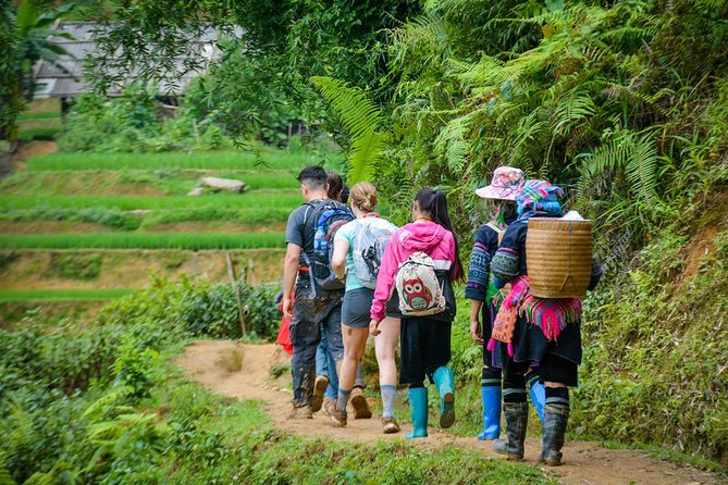 Trekking Through Rice Terraced Fields - 1Day - Lunch, water, and the included value of this $45 day