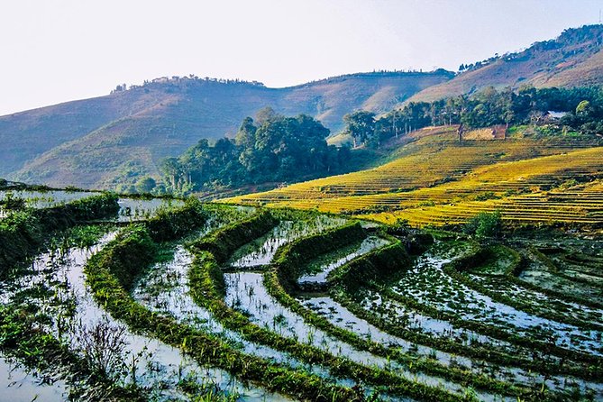 Trekking Through Rice Terraced Fields - 1Day - Footwear and pace: the real make-or-break factors