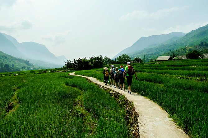 Trekking Through Rice Terraced Fields - 1Day - Meeting points, timing, and what 5–6 hours really means