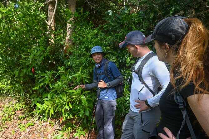 Trekking Tien Son Dinh Phu Quoc - Pickup, Group Size, and What’s Included (So You Don’t Overpack)