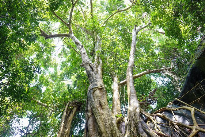 Trekking Tien Son Dinh Phu Quoc - Stop 2: Ham Ninh and the End-of-Day Finish