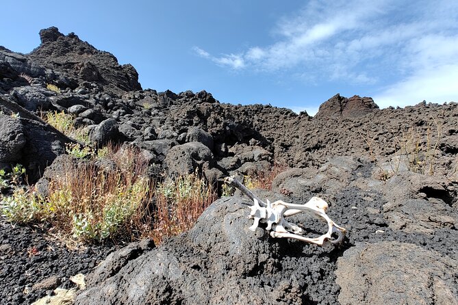 Trekking to Bottoniera Craters - Photos that actually look like Etna science