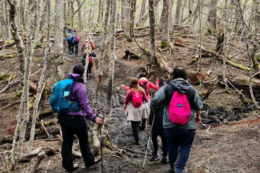 Trekking to Emerald Lagoon - Ushuaia’s Emerald Lagoon trek: why it feels accessible
