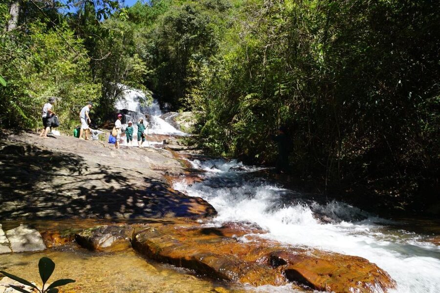 Trekking to Hidden Waterfall & Sturgeon Farm for dog-lovers - Twin Beans Farm meeting point: the start is rural, so plan ahead