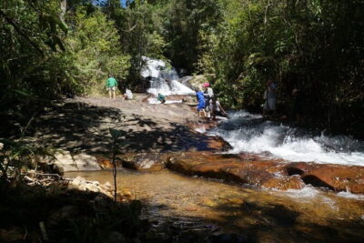 Trekking Tour to Hidden Waterfall & Sturgeon Farm for dog-lovers - Stop 1: The Sturgeon Farm Visit You Can’t Skip