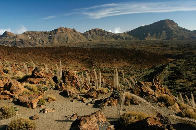 Trekking, wineries, birdwatching, local gastronomy, etc. - Key points that make this day work