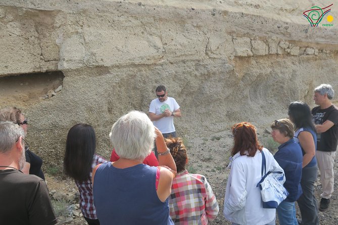 Trekking, wineries, birdwatching, local gastronomy, etc. - Picking your focus on Tenerife: trekking, wineries, birds, or volcanoes