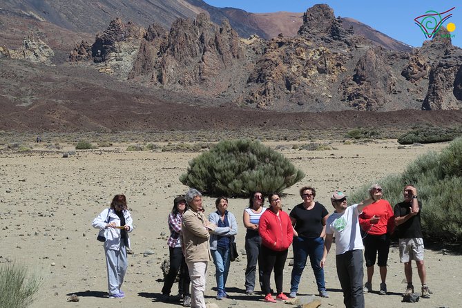 Trekking, wineries, birdwatching, local gastronomy, etc. - Group size, privacy, and practical expectations for a smoother day