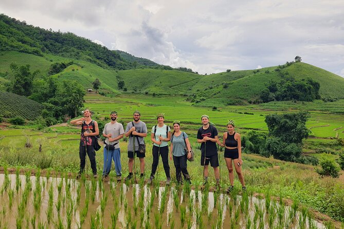 Trekking with Lunch cooked by Bamboo in the Chiang Rai jungle - Key highlights from the Chiang Rai bamboo trek