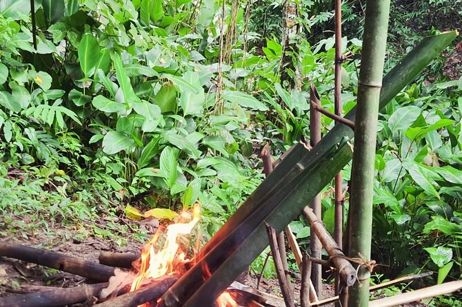 Trekking with Lunch cooked by Bamboo in the Chiang Rai jungle - Who this Chiang Rai bamboo trek suits best