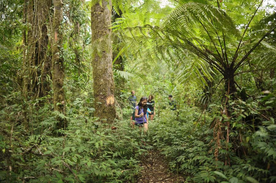 Ubud: Bayad Village, Waterfall and Cave Trek Adventure - Key highlights at a glance