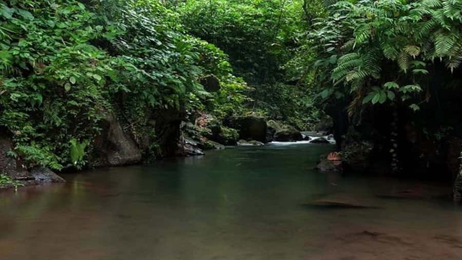 Ubud: Bayad Village, Waterfall and Cave Trek Adventure - Walking the Bayad Village 6 km trail: what the hike really feels like