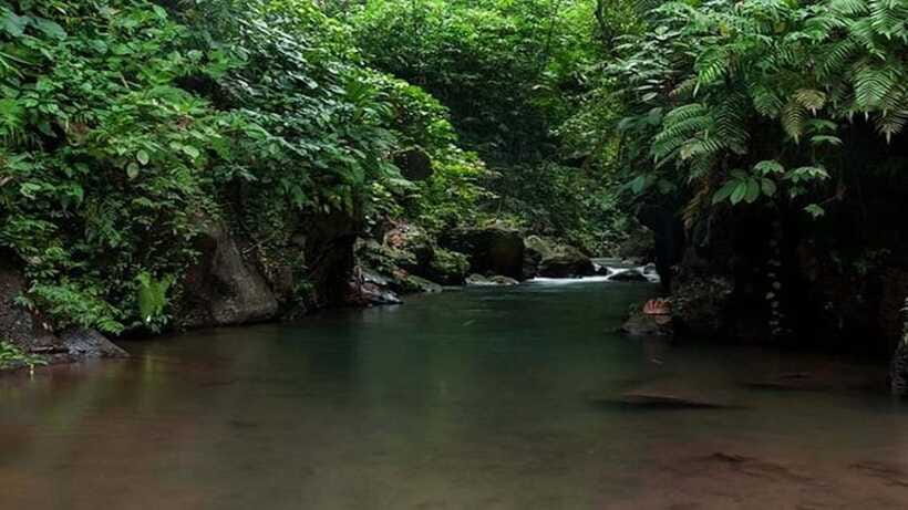 Ubud: Bayad Village, Waterfall and Cave Trek Adventure - Should you book the Ubud Bayad Village trek?