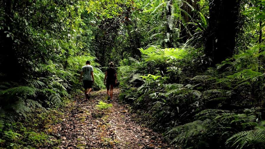 Ubud: Bayad Village, Waterfall and Cave Trek Adventure - Goa Maya: sacred Hindu statues, a spice center, and a real farm stop