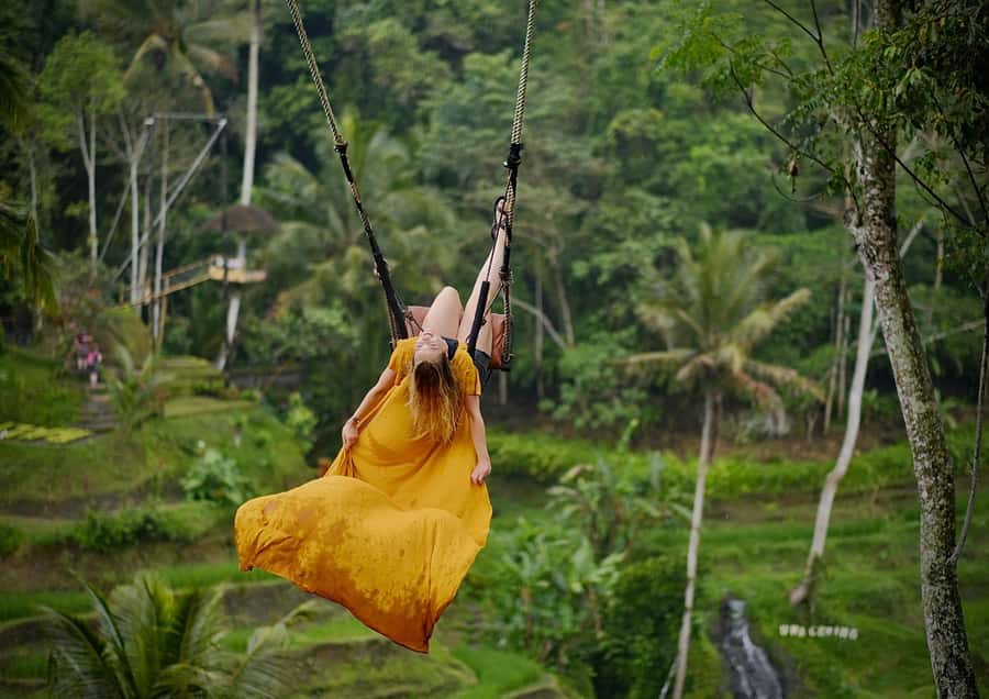 Ubud: Rice Terrace, Holy Water Temple & Waterfalls Trek Tour - Should You Book This Ubud Rice Terrace and Waterfalls Tour?