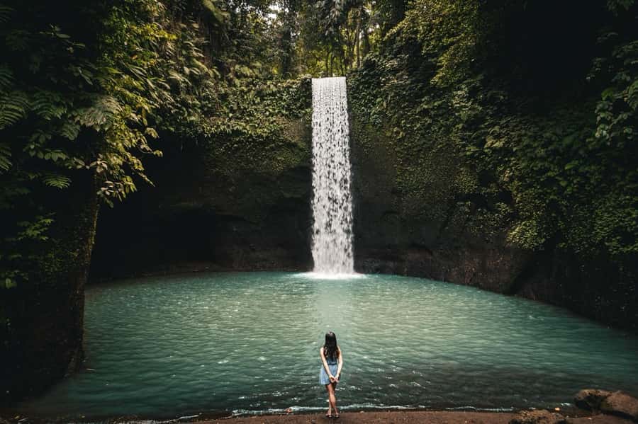 Ubud: Rice Terrace, Holy Water Temple & Waterfalls Trek Tour - A Six-to-Seven Hour Ubud Route With Rice, Ritual, and Waterfalls