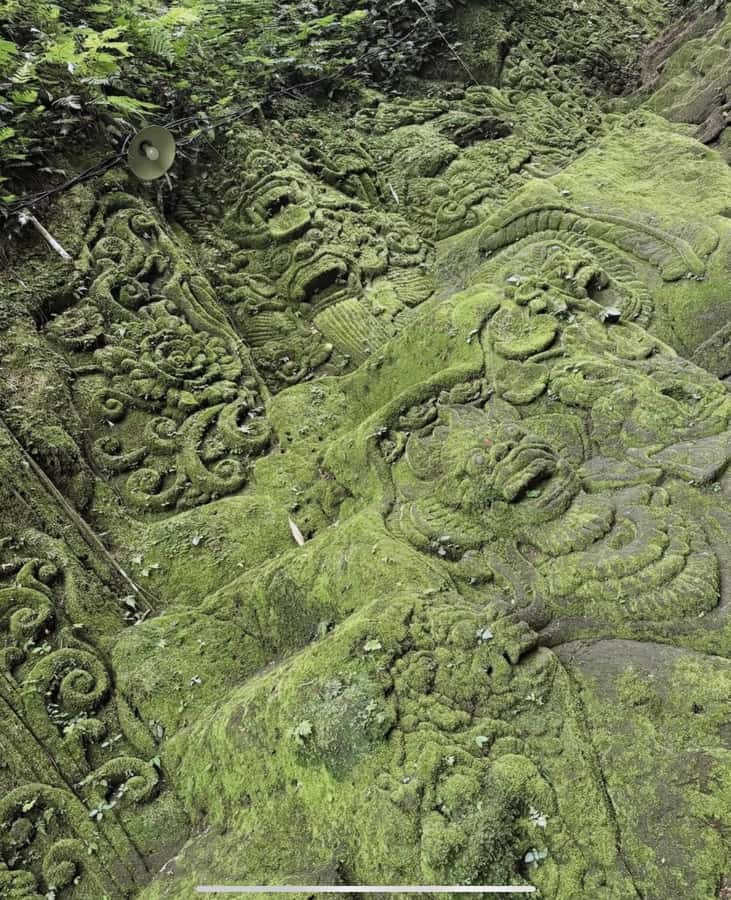 Ubud: Trekking Through Rivers & Forests to Three Waterfalls - Price and value: why $19 can feel like a bargain in Bali