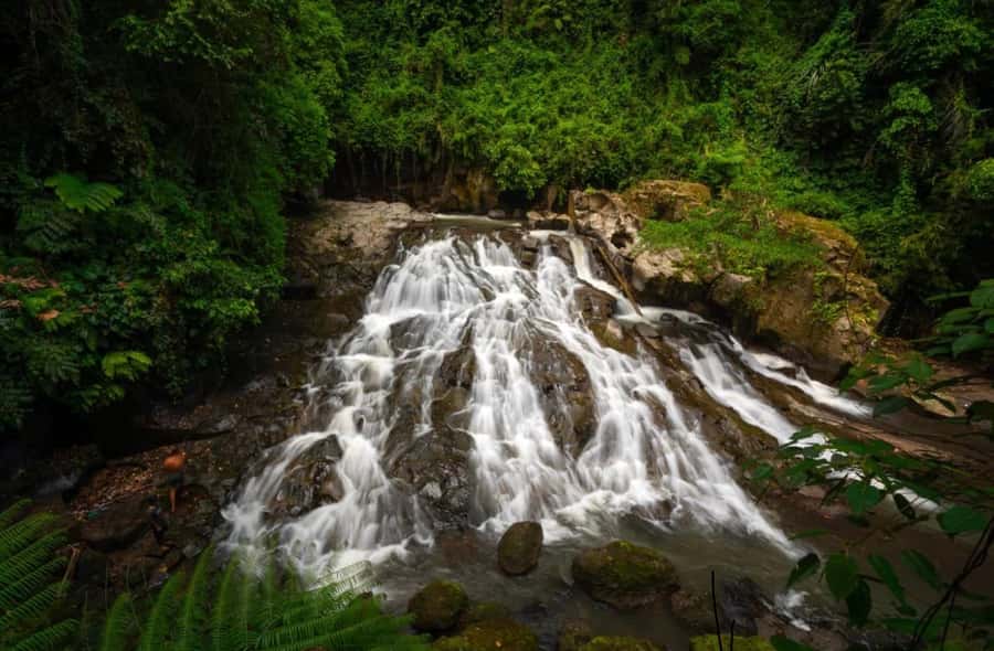 Ubud: Trekking Through Rivers & Forests to Three Waterfalls - Pickup, drop-off, and what “private group” means in practice