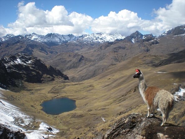 Ultimate Lares Trek & Inca Trail 5 days - Key highlights worth knowing
