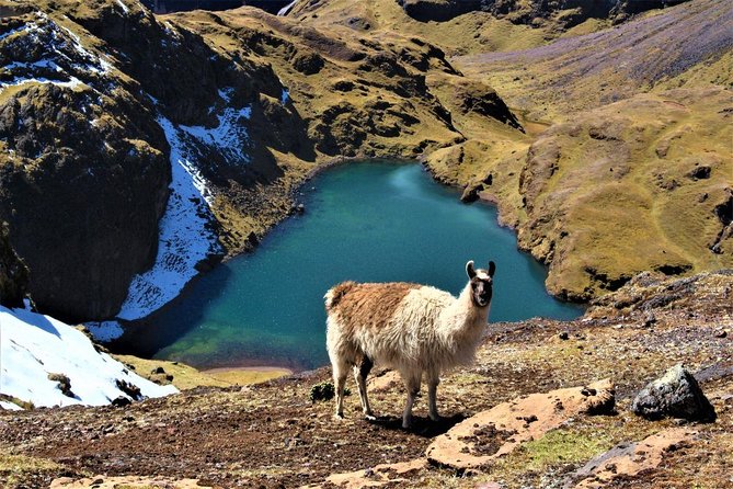 Ultimate Lares Trek & Inca Trail 5 days - Price and Value: Why $980 Can Make Sense