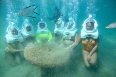 Underwater Sea Trek in San Juan: Explore Beneath the Waves - Guides matter: hand signals, comfort checks, and calm coaching