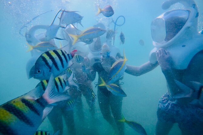 Underwater Sea Trek in San Juan: Explore Beneath the Waves - Should you book Sea Trek in San Juan?