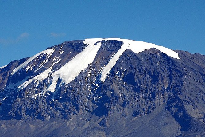 Unforgettable 8 Days Lemosho Route Trekking on Kilimanjaro - Day 8 from Mweka Gate to Moshi: certificates, lunch, and the long descent home
