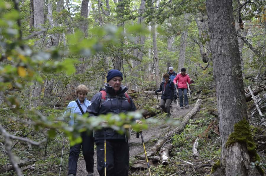 Ushuaia: Tierra del Fuego Trekking and Canoeing - What to Bring to Stay Comfortable in Patagonia Weather