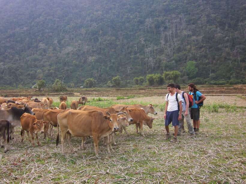 Vang Vieng: Jungle & Caves Full-Day Private Trekking Tour - Chasing panoramic views above Vang Vieng