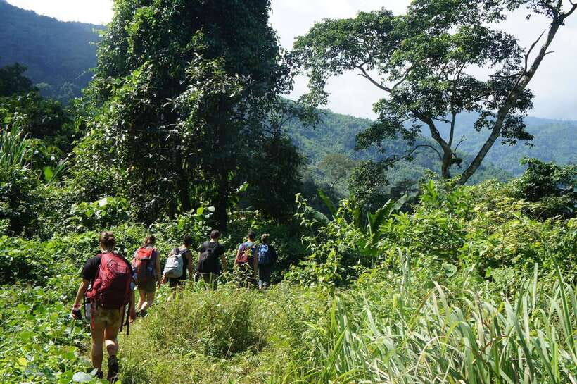Vang Vieng: Jungle & Caves Full-Day Private Trekking Tour - Tham Hok Cave: stalactites and stalagmites you can actually notice