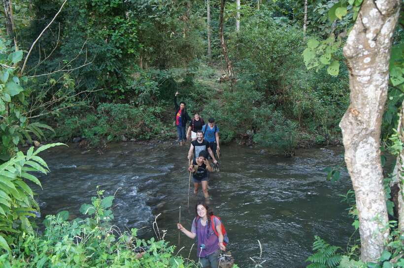 Vang Vieng: Jungle & Caves Full-Day Private Trekking Tour - Secret Eden: the cool-water swim and the picnic payoff