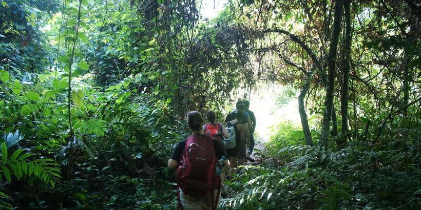 Vang Vieng: Jungle & Caves Full-Day Private Trekking Tour - Guides, English, and the real value of private pace