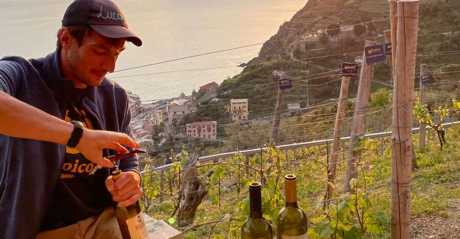 Vernazza: Panoramic Vineyard Trekking Tour w/ Wine Tasting - Why This Vernazza Vineyard Trek Feels Like a Real Cinque Terre Day