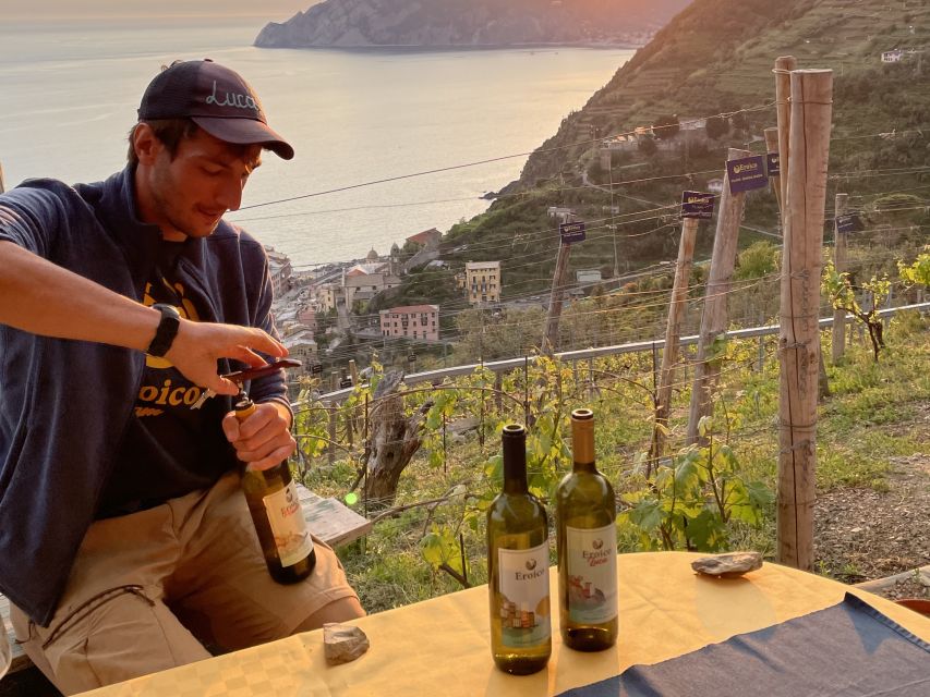 Vernazza: Panoramic Vineyard Trekking Tour w/ Wine Tasting - Meeting Point at Cinque Sensi: Easy Start, Clear Timing