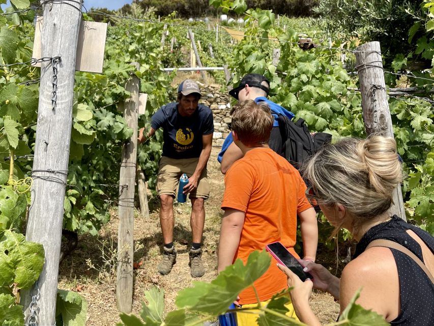 Vernazza: Panoramic Vineyard Trekking Tour w/ Wine Tasting - The Vineyard Stop: Where the Wine Tasting Actually Makes Sense