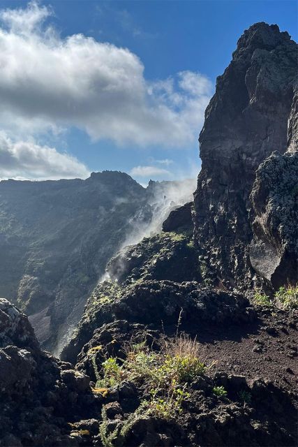 Vesuvio: 3h trekking tour with volcanological guide - Quick reality check: who this Vesuvius tour suits best