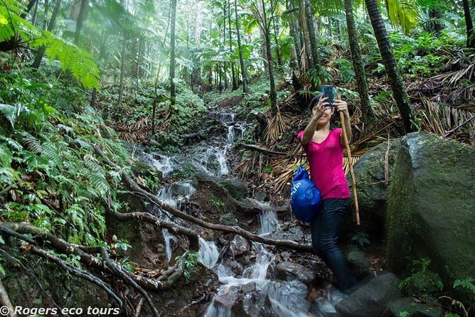 Volcano Caldera (Mt. Liamuiga) Trek / Hike - Key highlights worth planning for