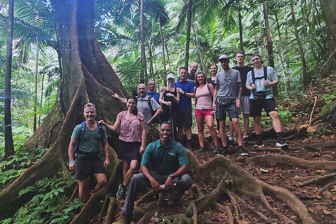 Volcano Caldera (Mt. Liamuiga) Trek / Hike - Stop 2: Challengers and early free-slave land history