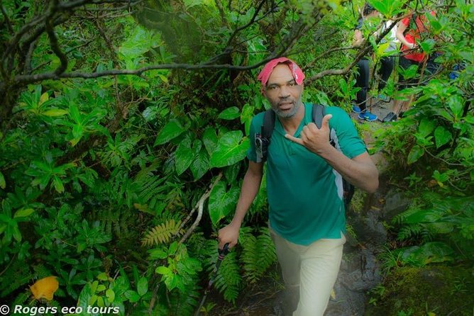 Volcano Caldera (Mt. Liamuiga) Trek / Hike - The volcanic cone moment: crater opening near the rim