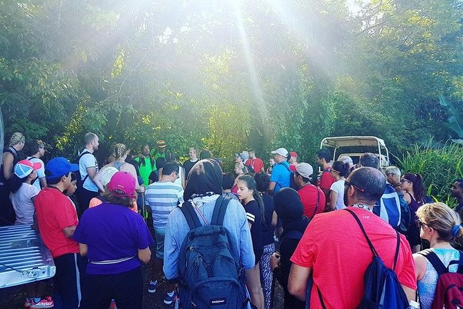 Volcano Caldera (Mt. Liamuiga) Trek / Hike - Value for $90: what you’re really paying for
