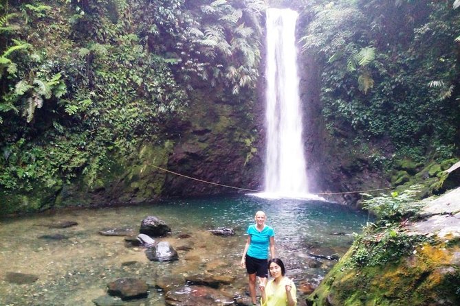 volcano hike and jungle trekking adventure - Jungle trekking: how the forest part keeps the day from feeling repetitive