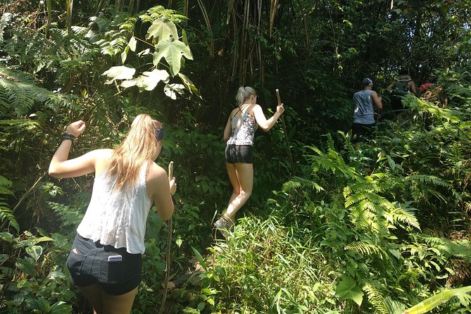 volcano hike and jungle trekking adventure - Small-group guiding: the difference between being led and being herded