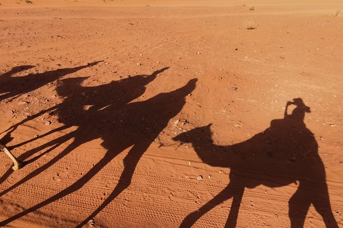 Wadi Rum: Camel Trek Adventure - Private camel time in Wadi Rum: what you gain over big groups