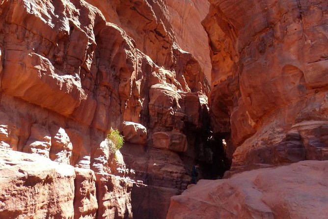 Wadi Rum: Camel Trek Adventure - Khazali Canyon and ancient petroglyphs: how the stop changes the ride